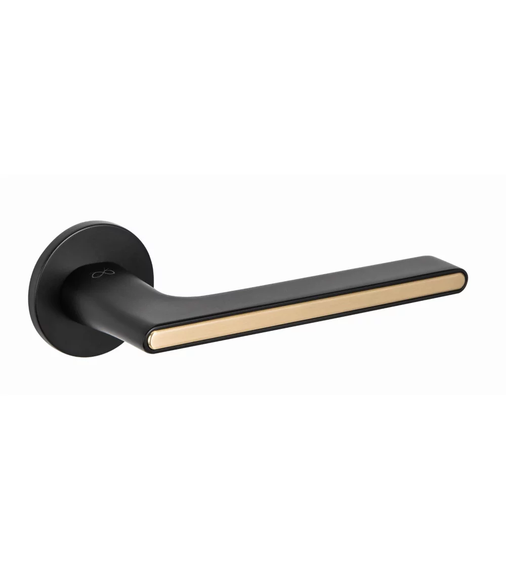 black and gold door handle
