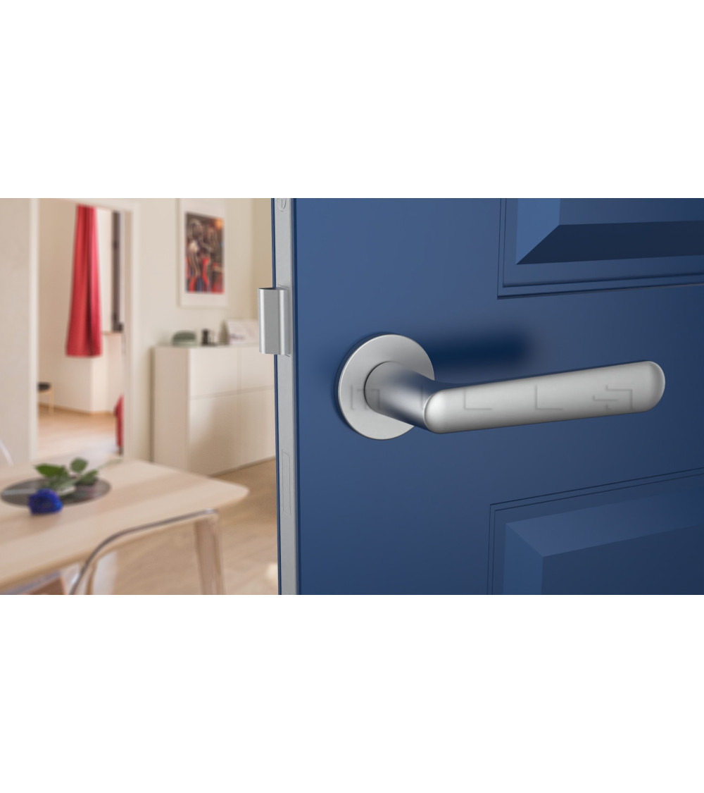 Satin chrome door handle on a blue door