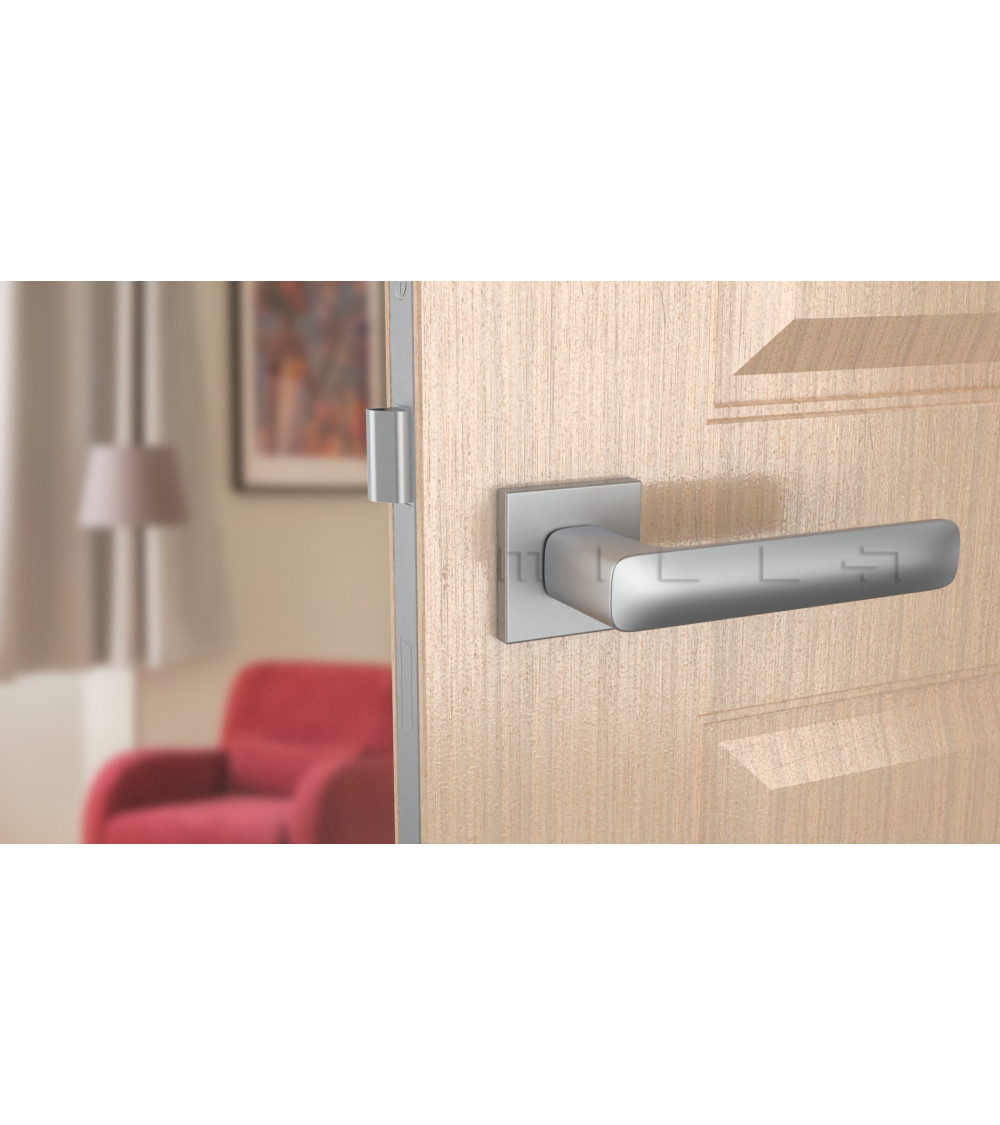 Chrome handle on a light wood door