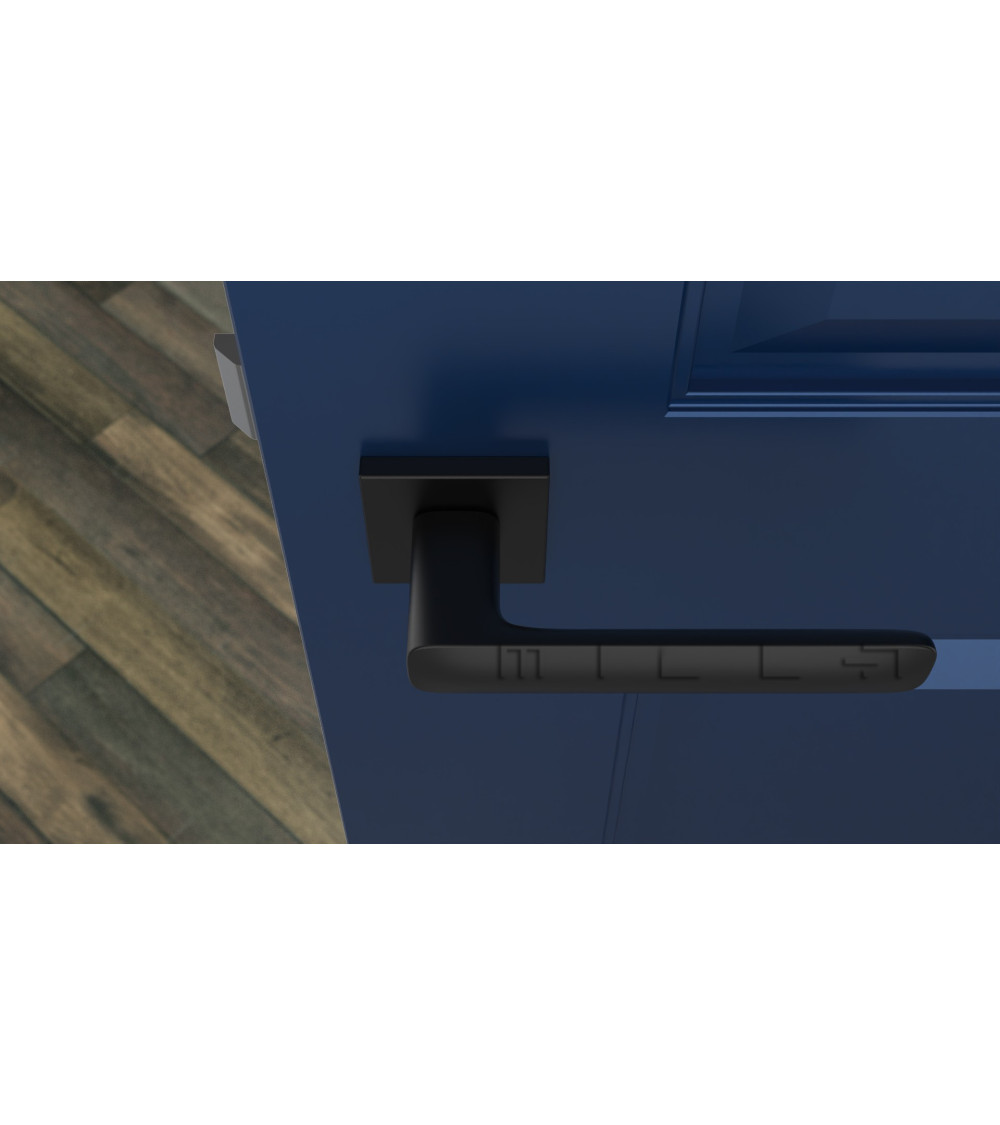 Matt black door handle with square plate on a blue door
