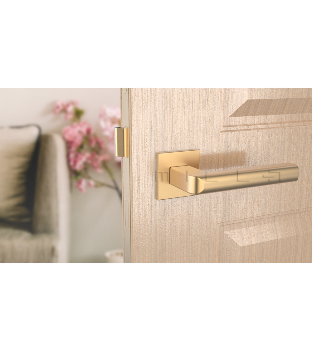 polished gold handle on a light wood door
