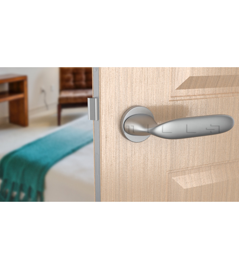 satin chrome handle on a light wood door