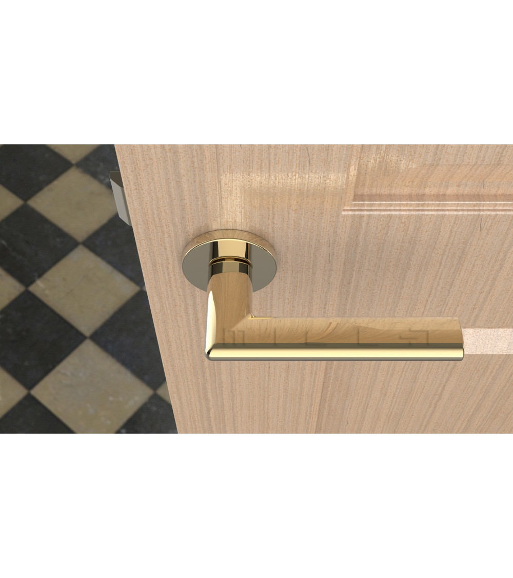 designer door handle for damp room