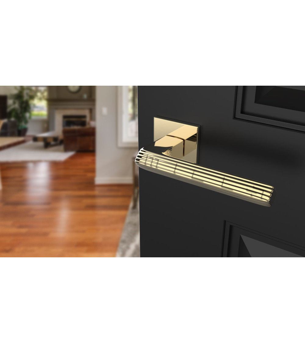 elegant door handle on an open door