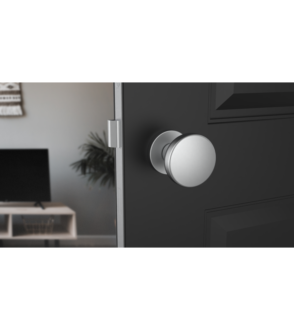 satin chrome door knob on black door