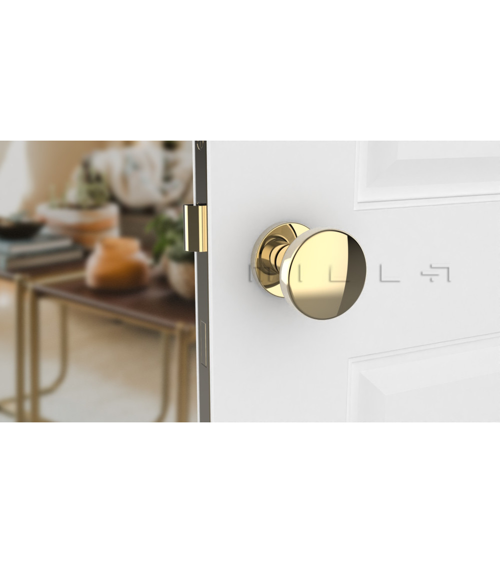 Original golden door knob for a front door