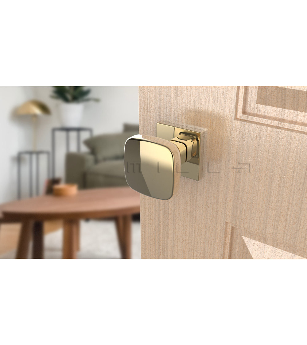 polished gold door knob finish on a light wood door in a living room