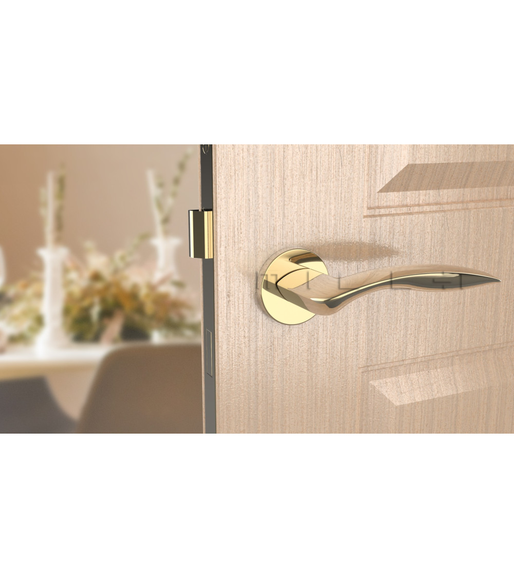polished gold handle on a light wood door