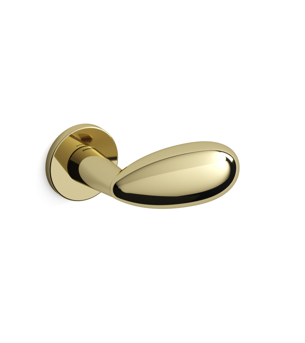 Golden door handle on rose
