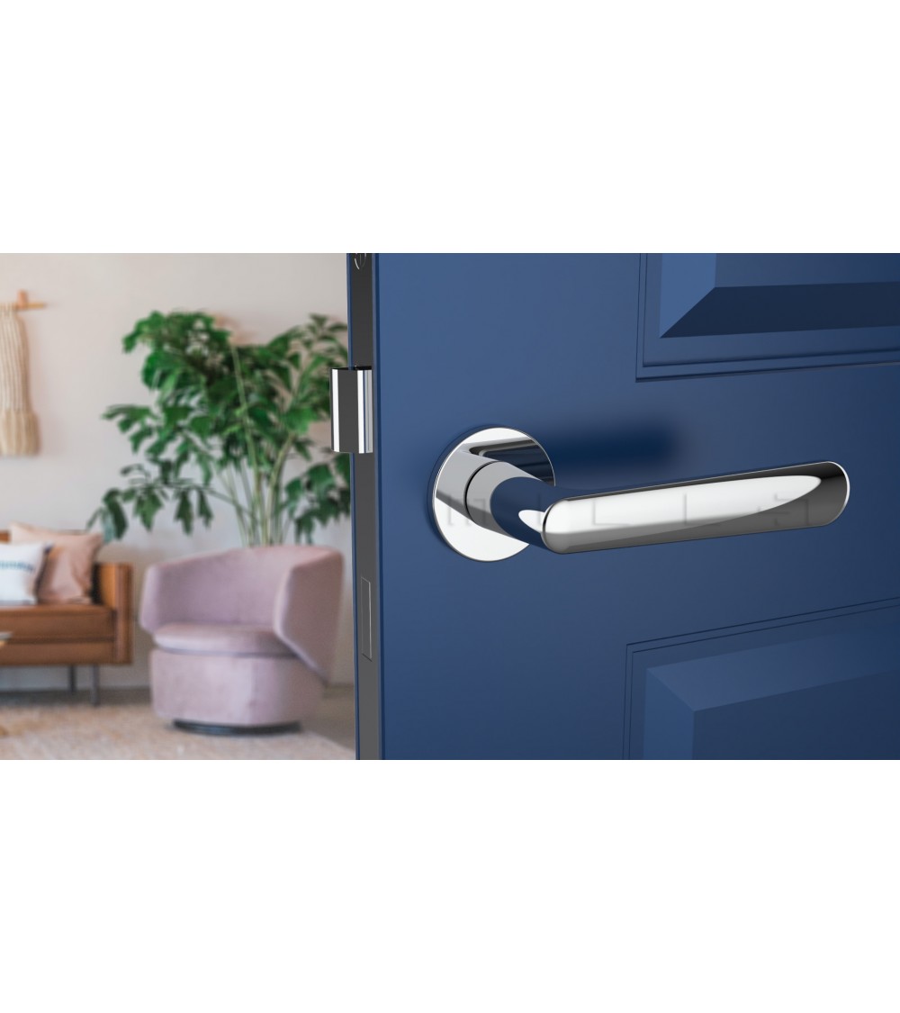 polished chrome door handle on a blue door