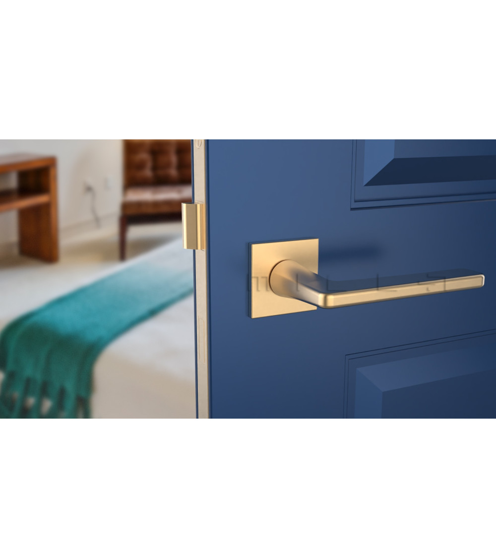 Matt gold door handle on a blue door