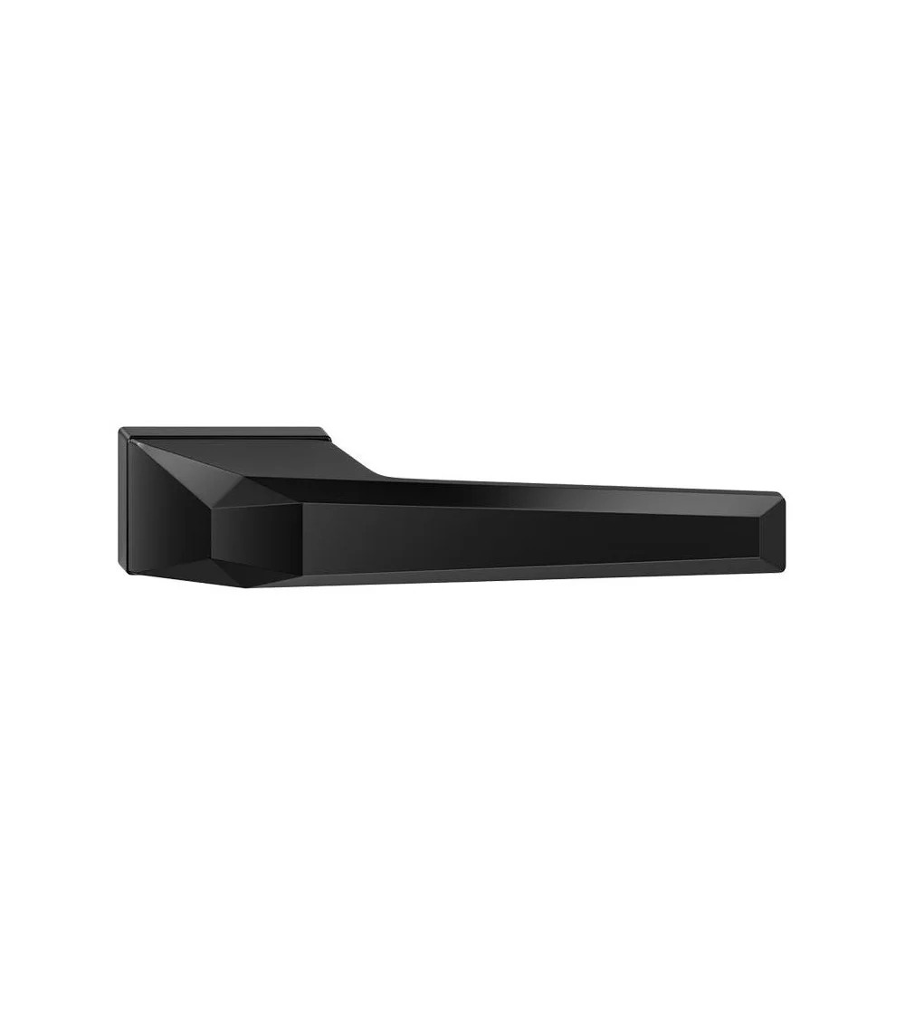 designer black handle on black door