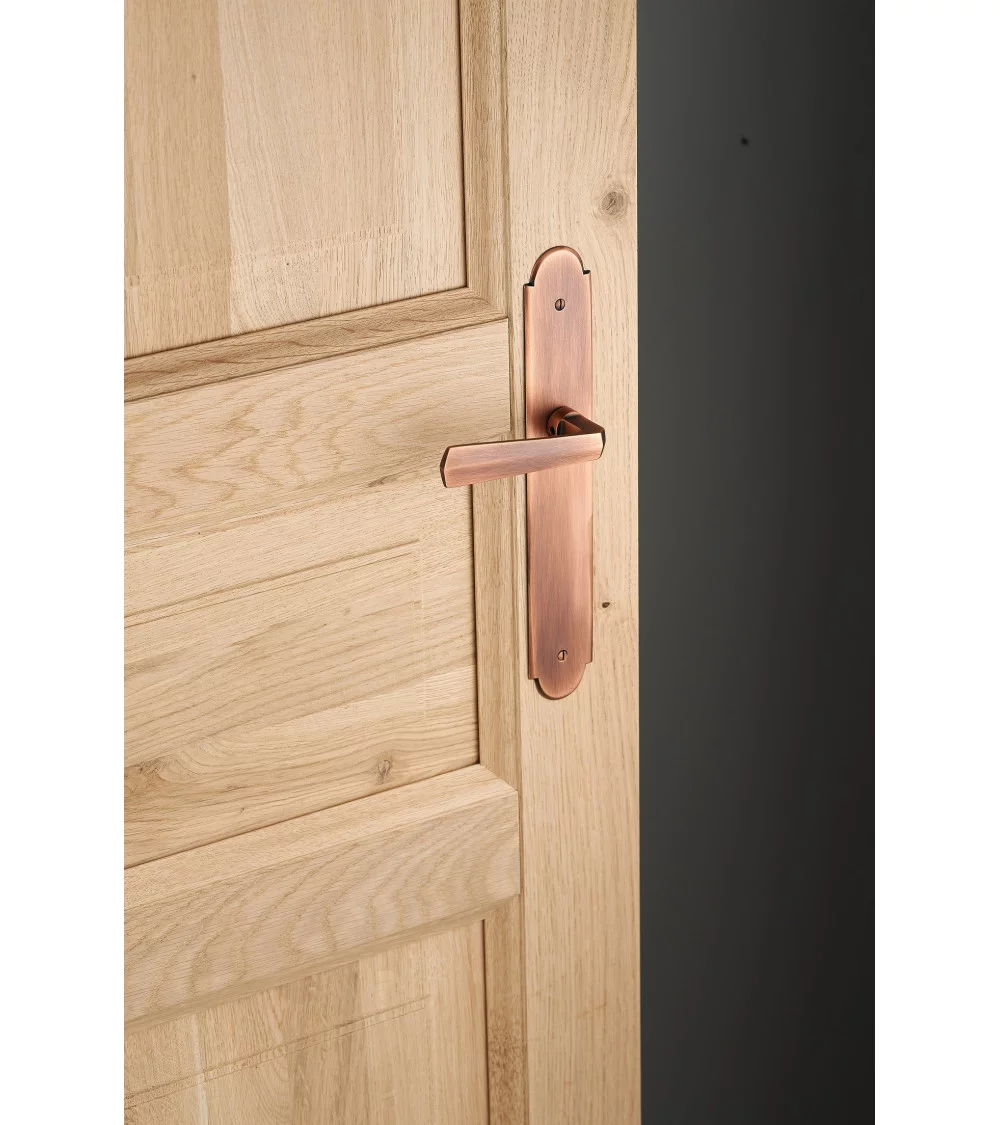 door handle on long backplate on wooden door