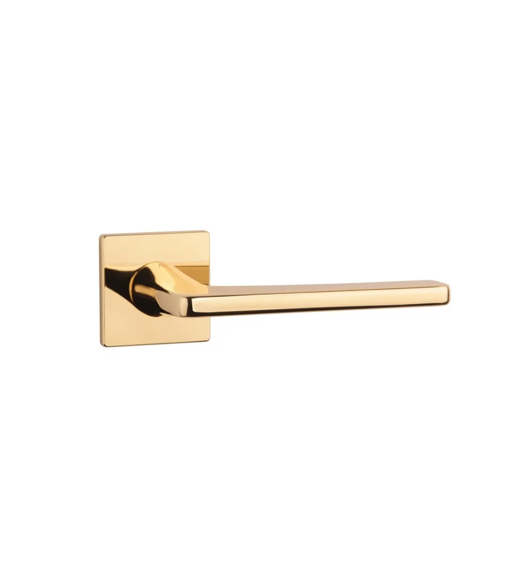 Classic golden door handle on black door