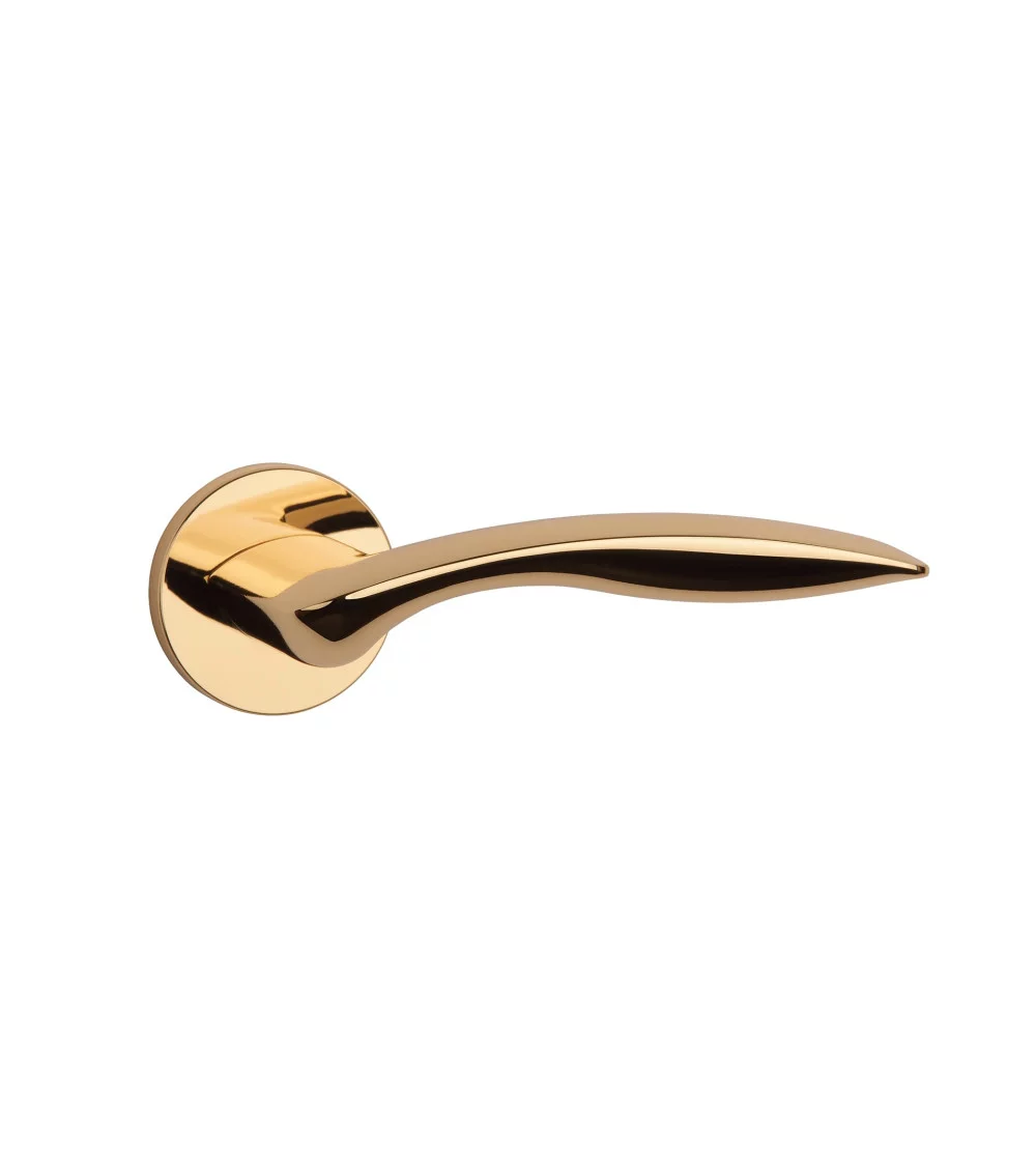 polished gold door handle ROBINE