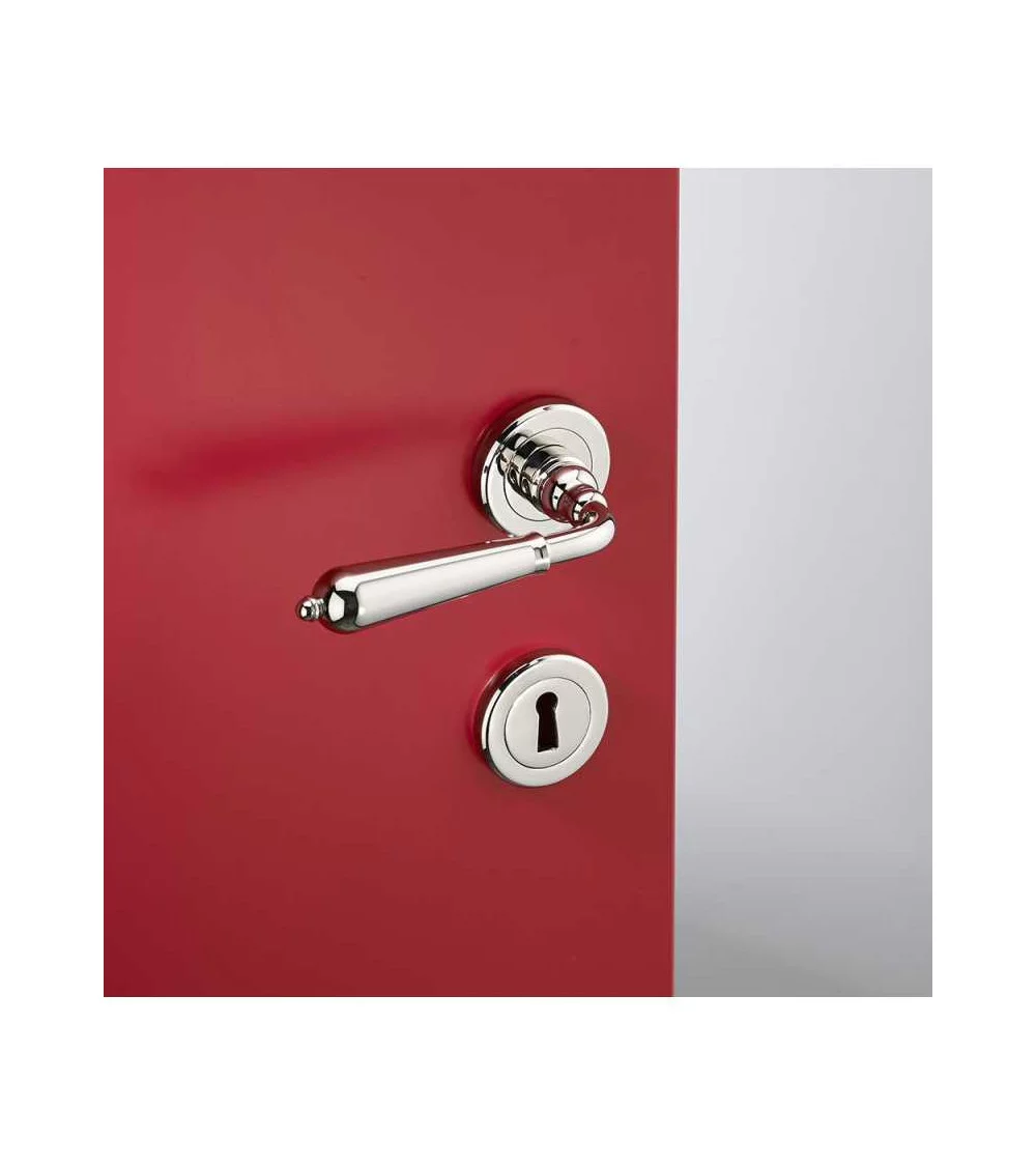 Chrome brass reversible handle on a red door