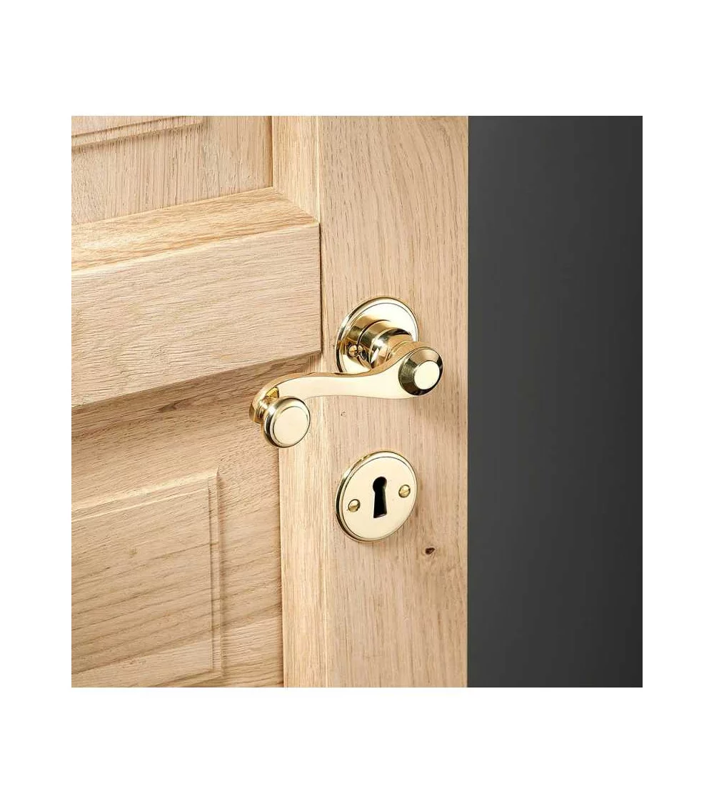 Gold brass reversible lever handle on a wooden door