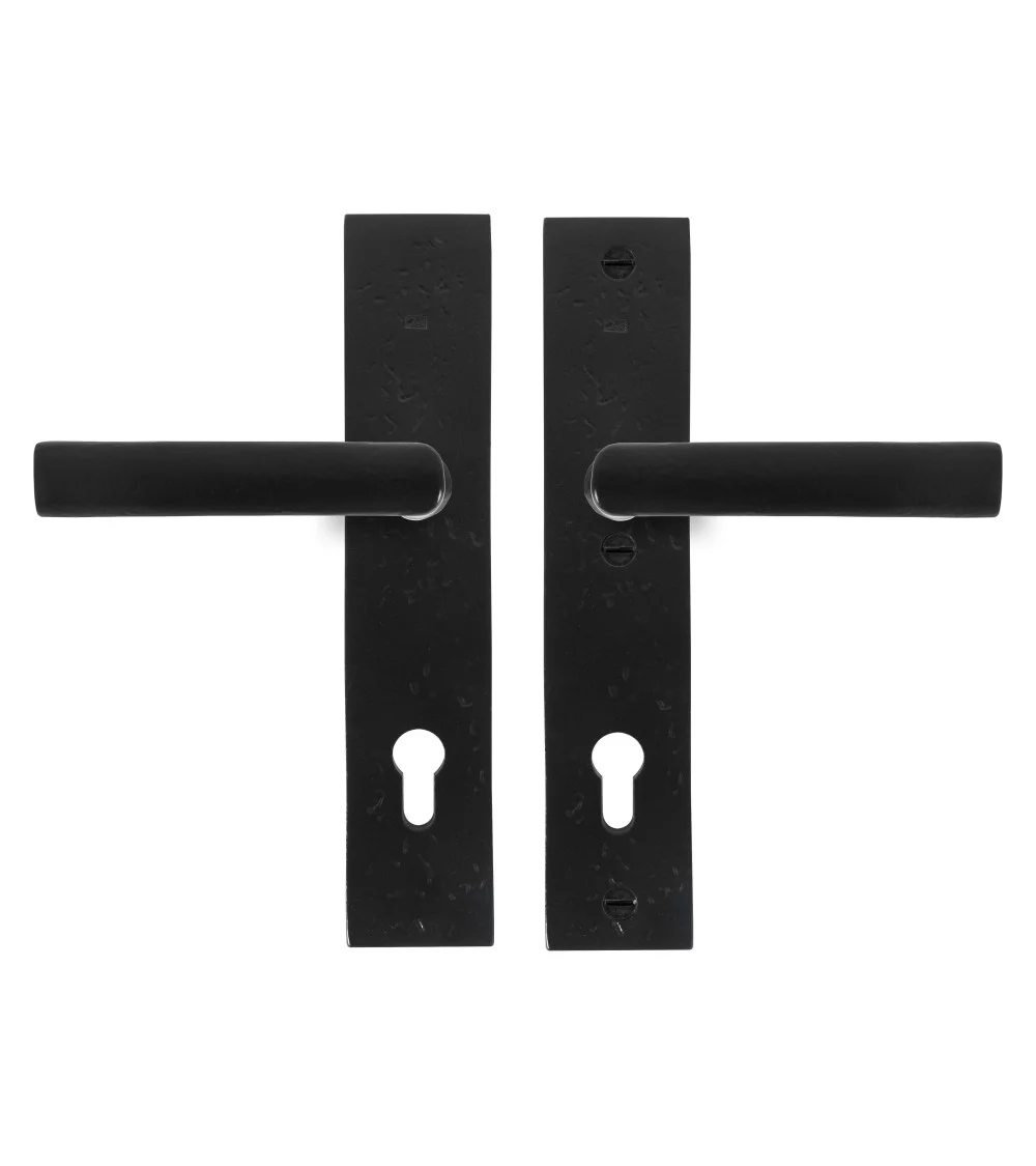 secure exterior door handles