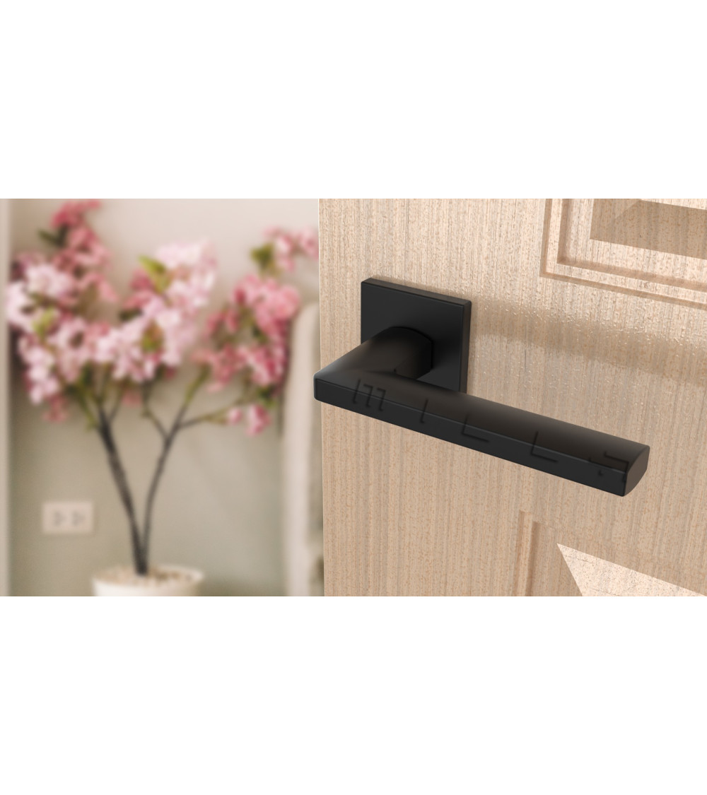 black handle on a light wood door