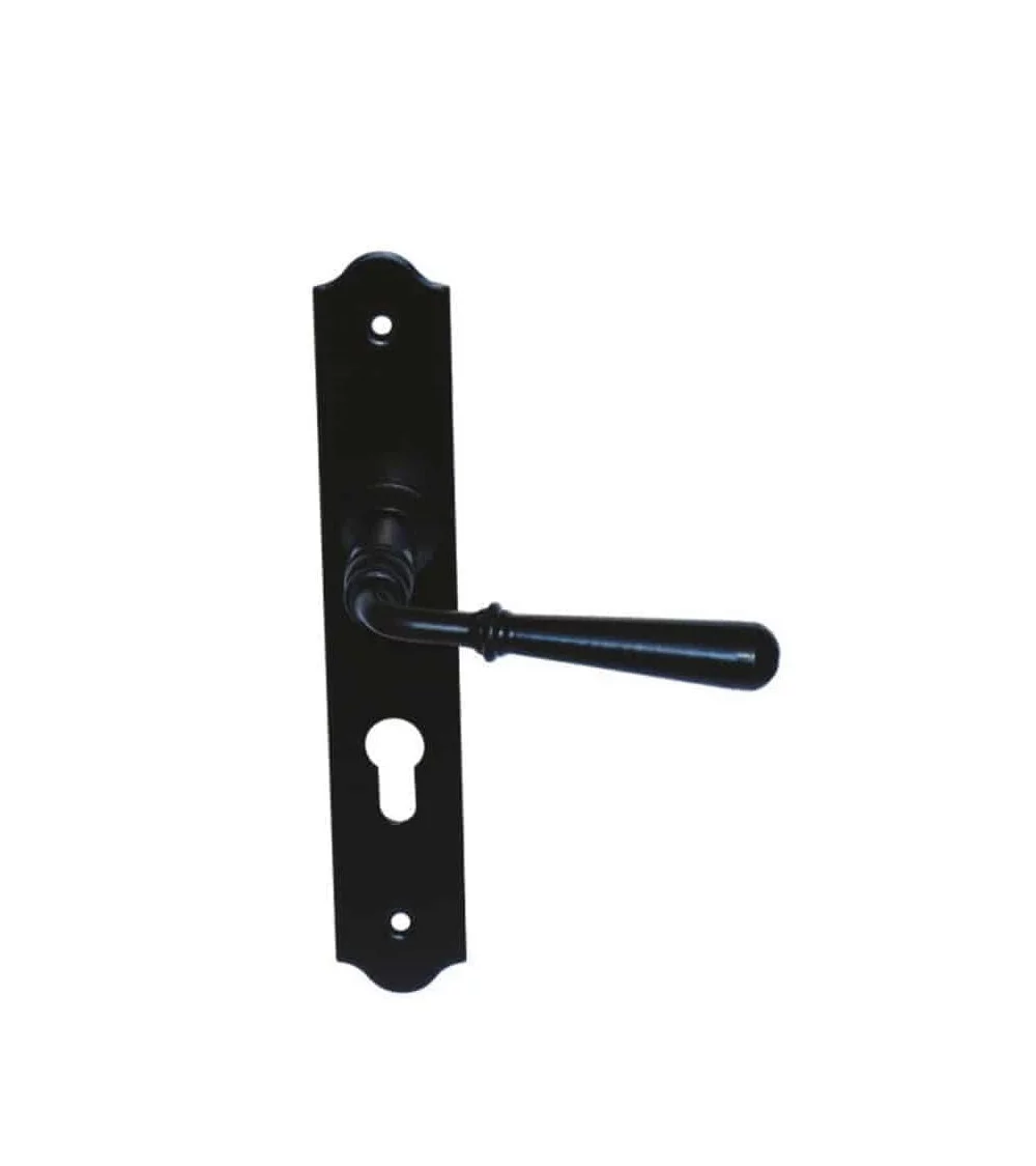 raised wrought iron door handle on a long backplate