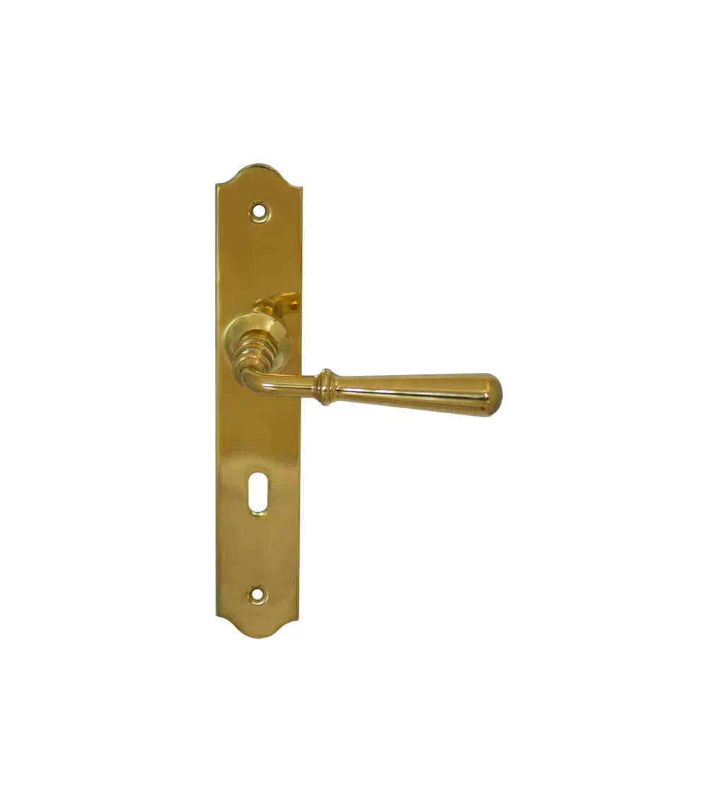 Reversible handle on a gold brass longitudinal backplate