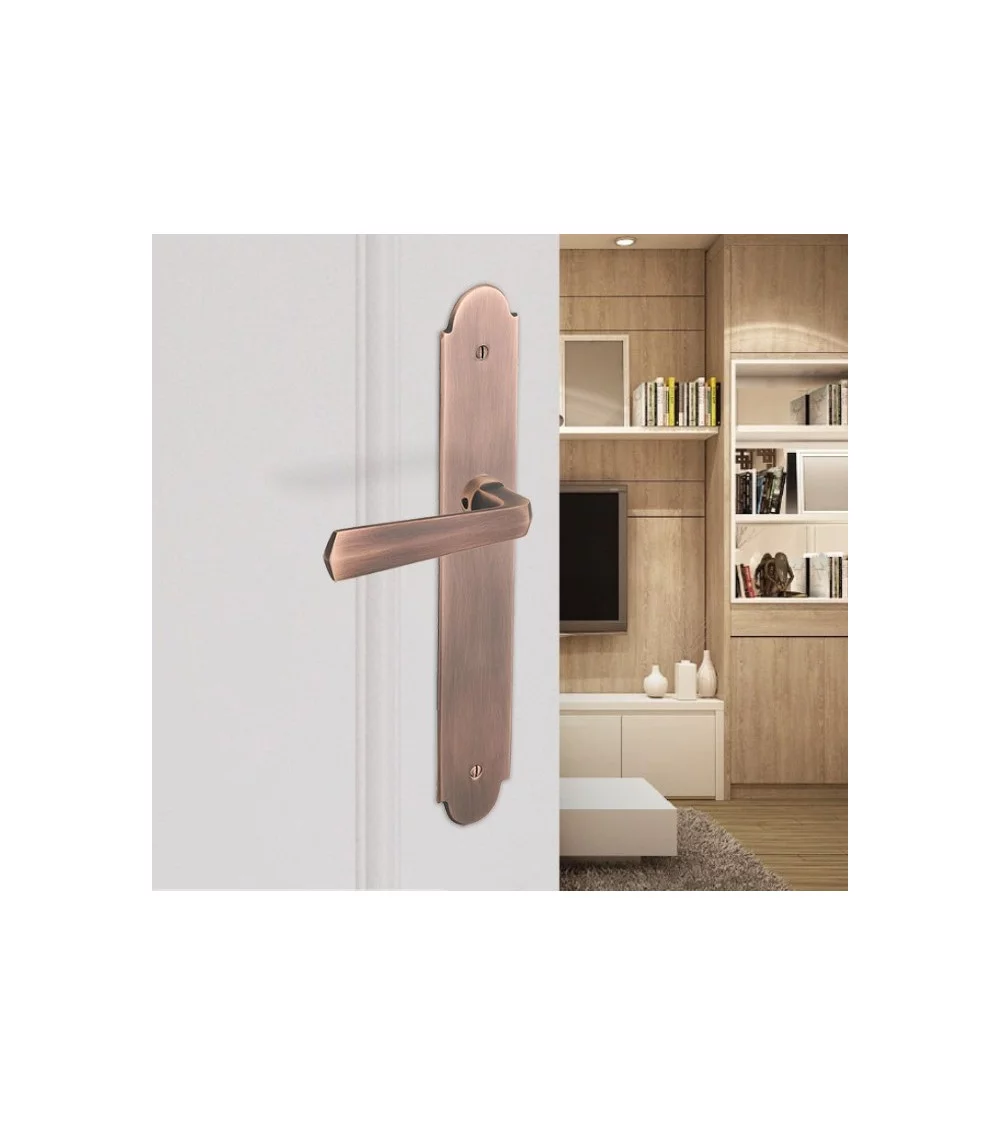 brass door handle for a modern front door